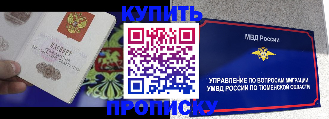 прописка 2025 в Шатуре